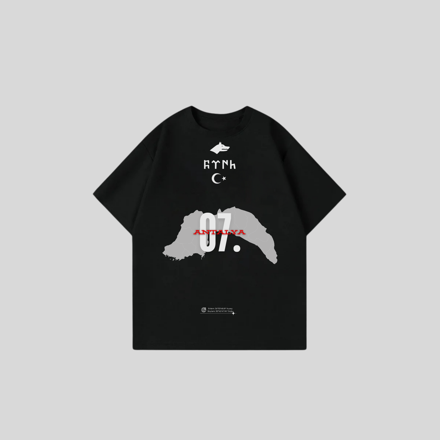 ANTALYA 07 - Oversize Shirt Frontprint