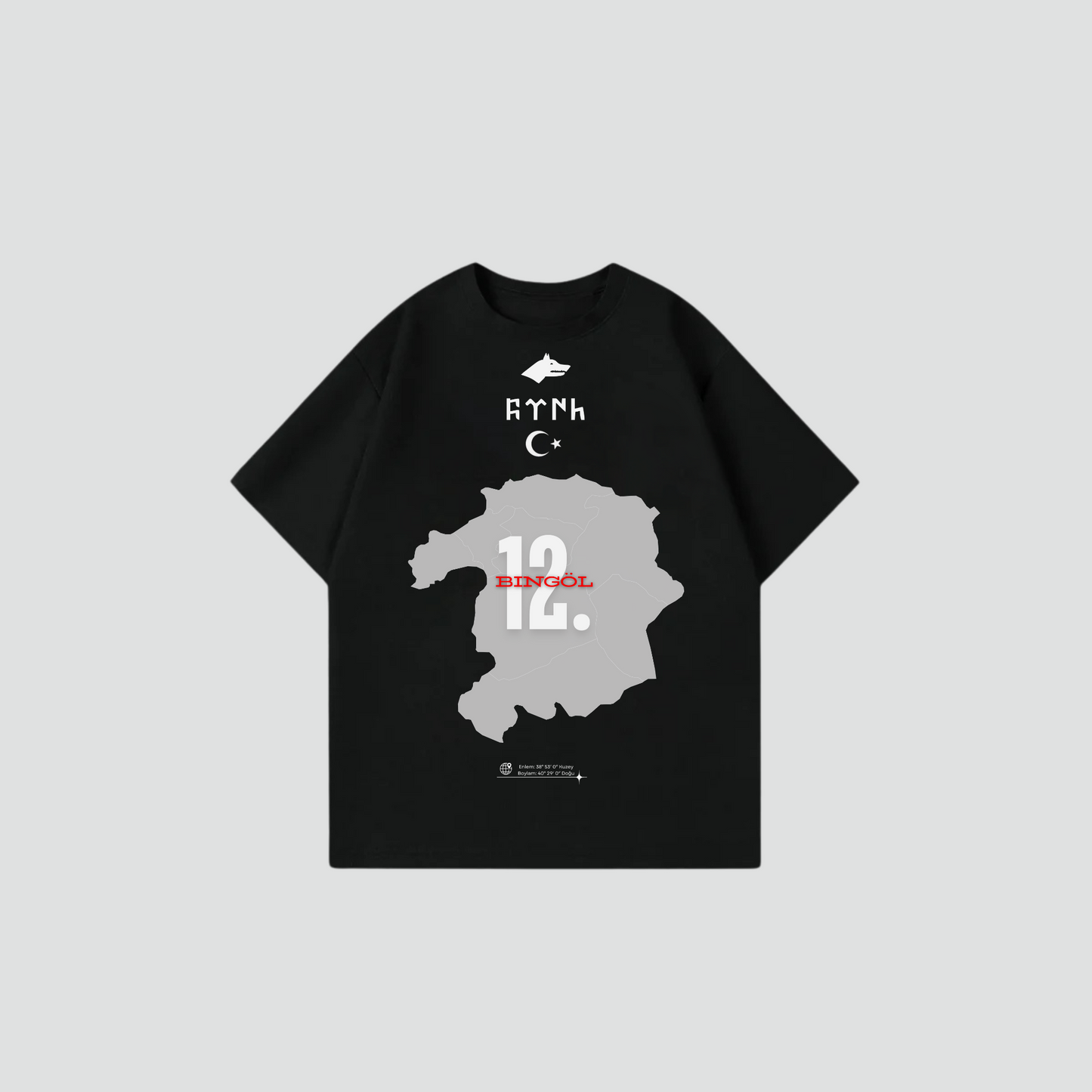 BINGÖL 12 - Oversize Shirt Frontprint
