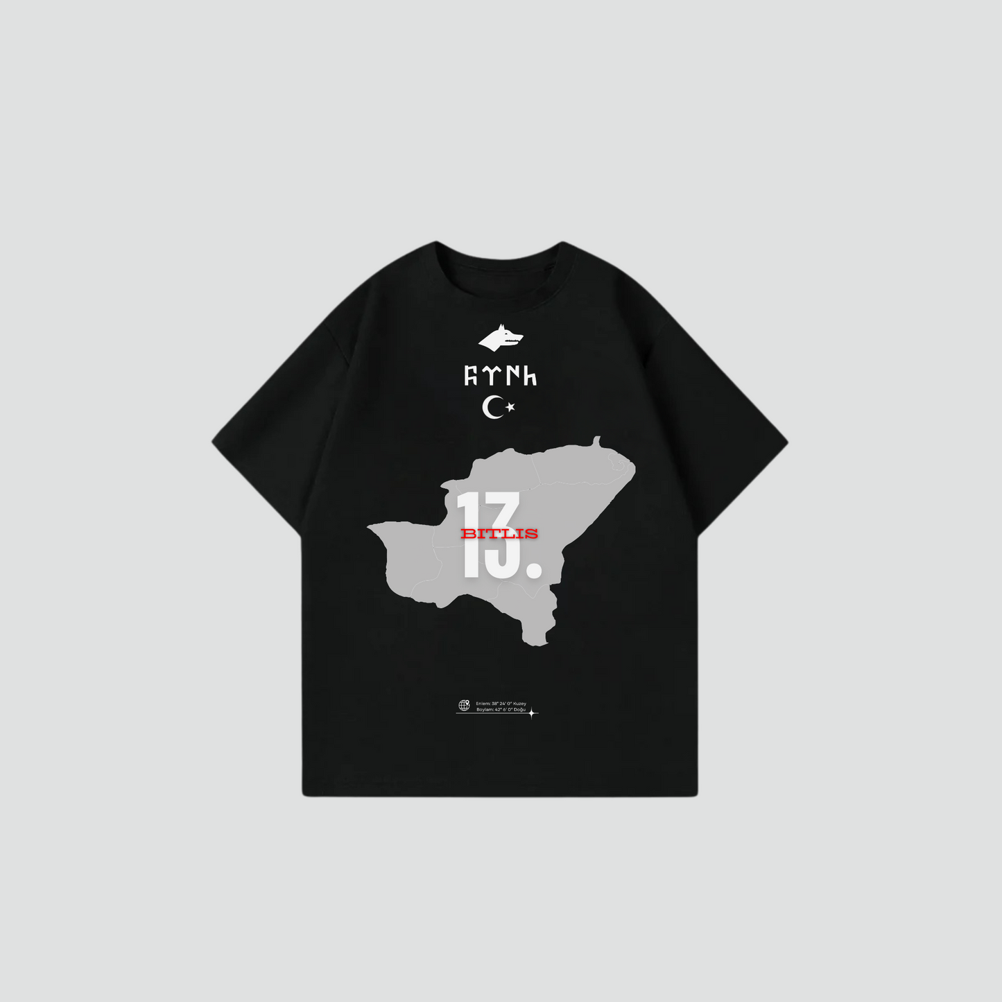 BITLIS 13 - Oversize Shirt Frontprint