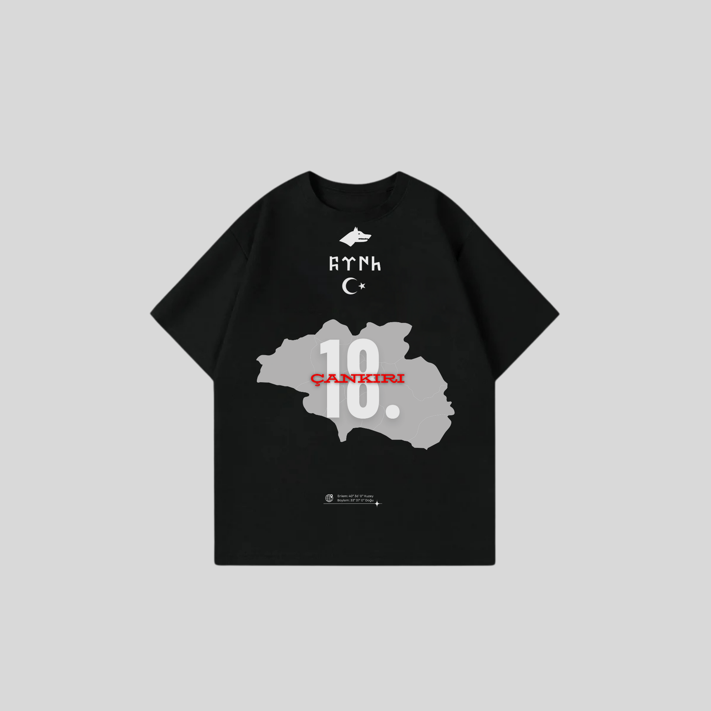 CANKIRI 18 - Oversize Shirt Frontprint