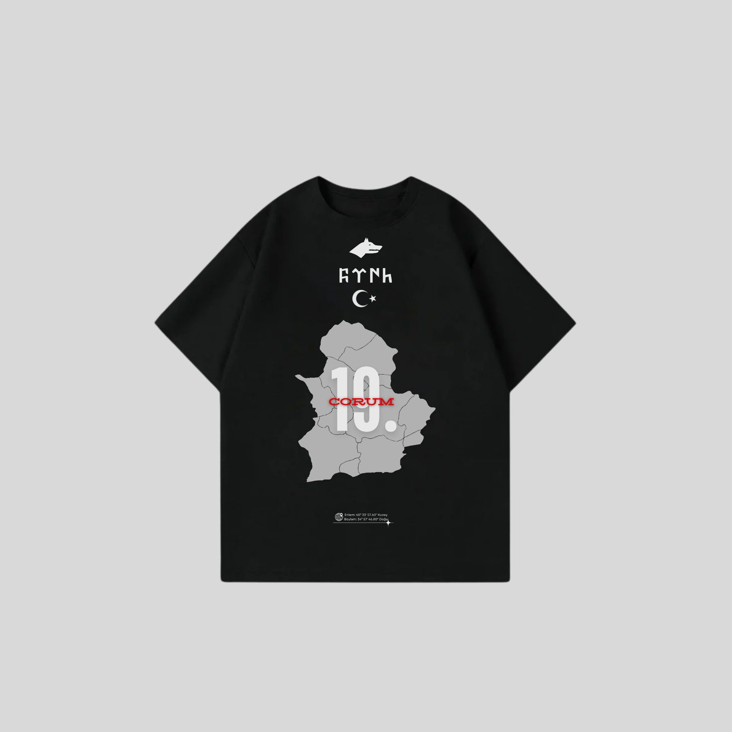 CORUM 19 - Oversize Shirt Frontprint