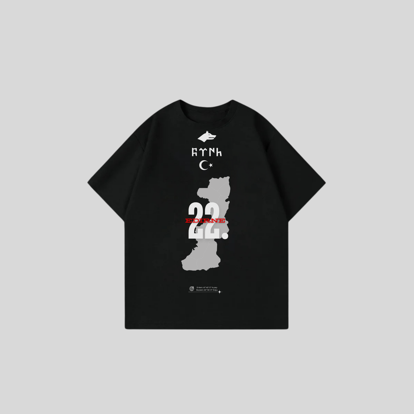 EDIRNE 22 - Oversize Shirt Frontprint
