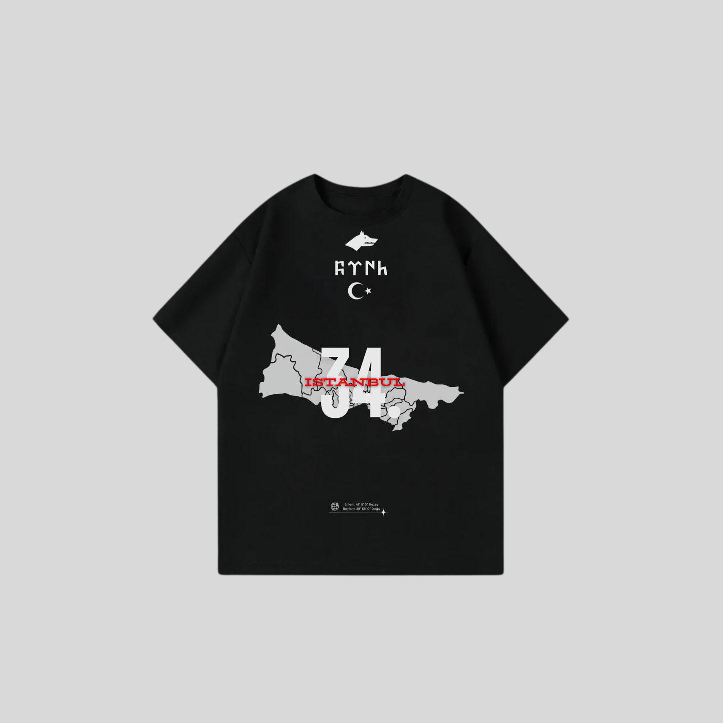 ISTANBUL 34 - Oversize Shirt Frontprint