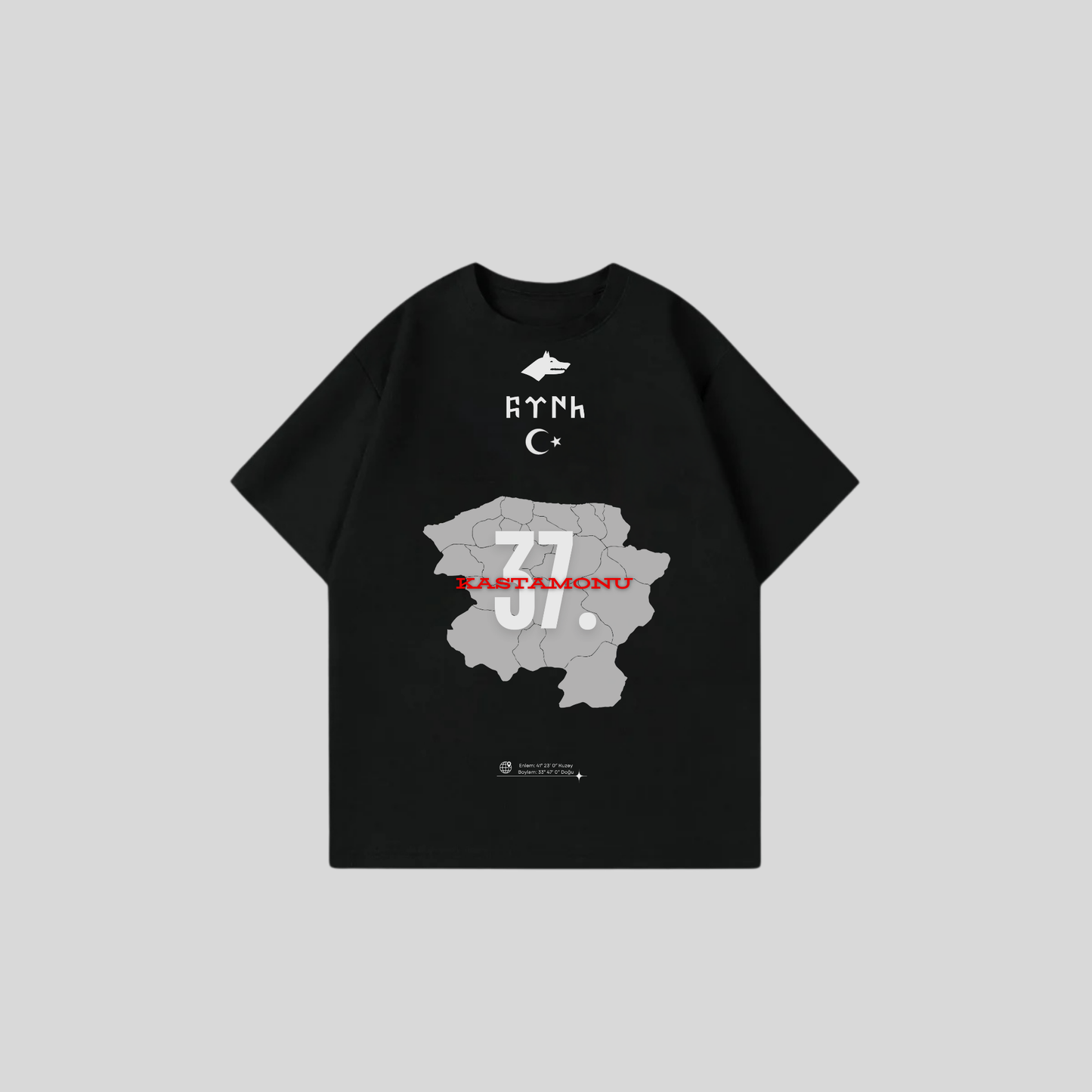 KASTAMONU 37 - Oversize Shirt Frontprint