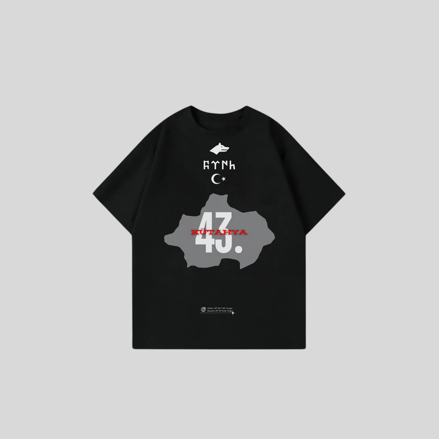 KÜTAHYA 43 - Oversize Shirt Frontprint
