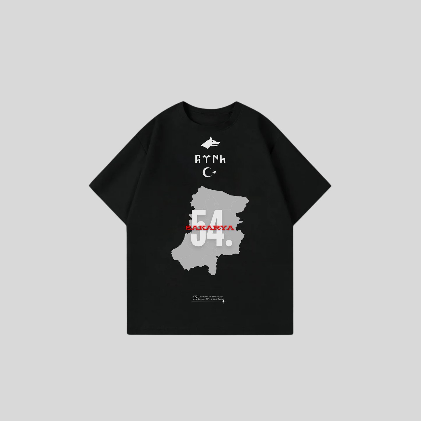 SAKARYA 54 - Oversize Shirt Frontprint