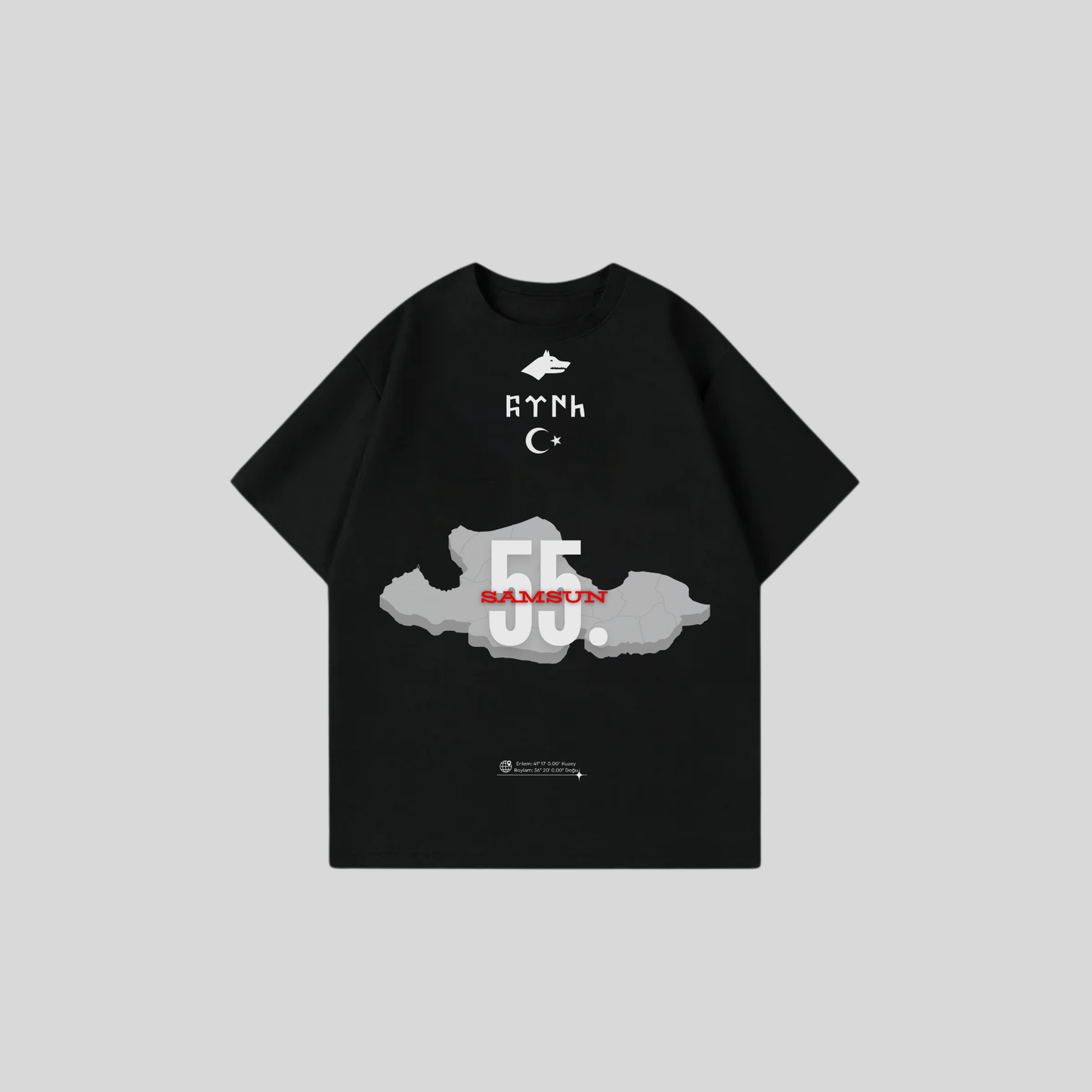 SAMSUN 55 - Oversize Shirt Frontprint