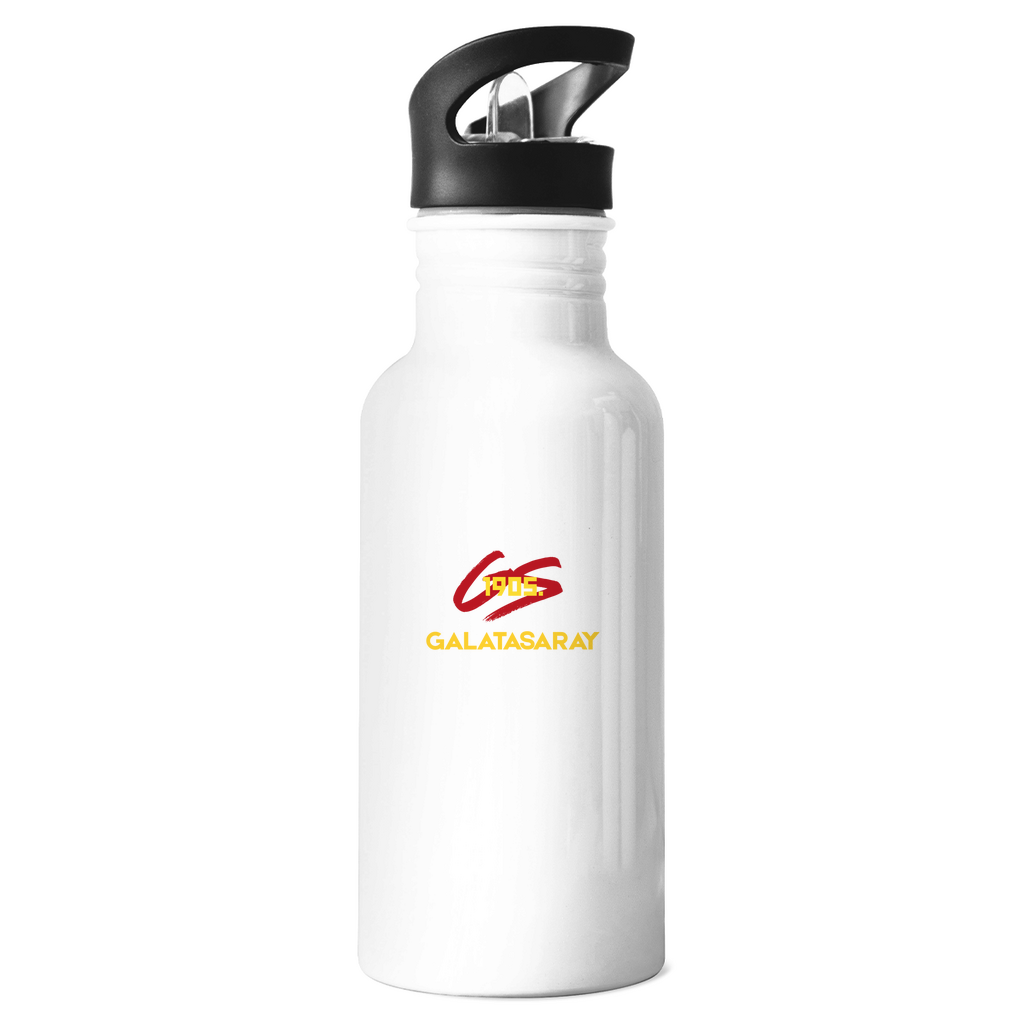 GS - RVS drinkfles 600ml