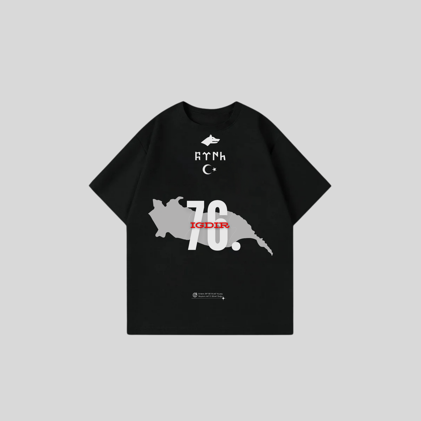 IGDIR 76 - Oversize Shirt Frontprint