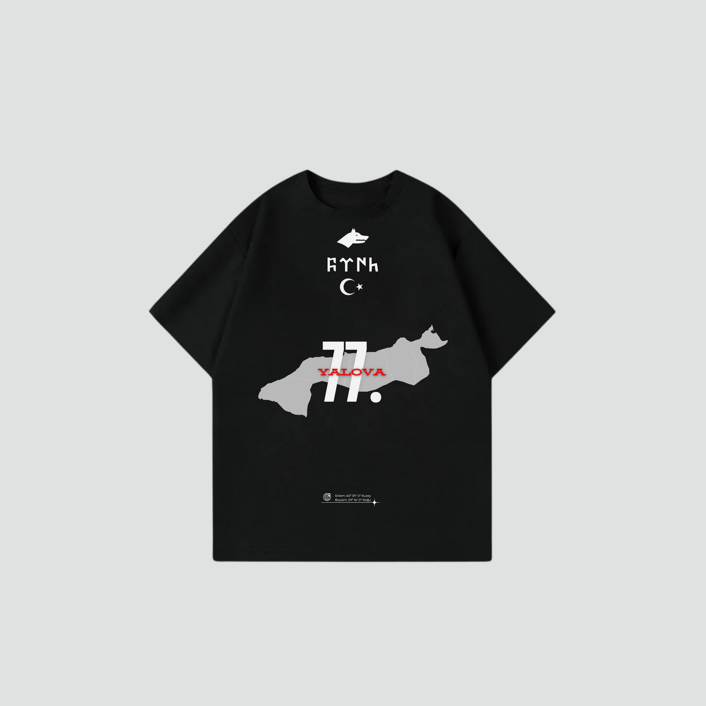 YALOVA 77 - Oversize Shirt Frontprint