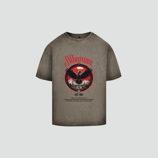 ALBANIAN 1 - Oversize Washed Shirt