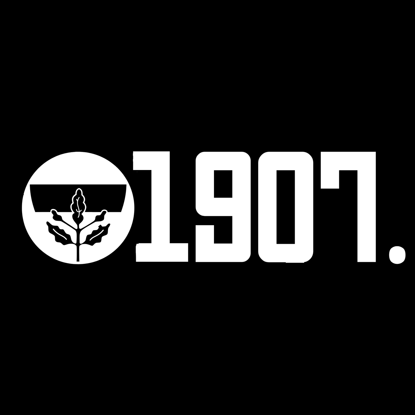 FB - Carsticker