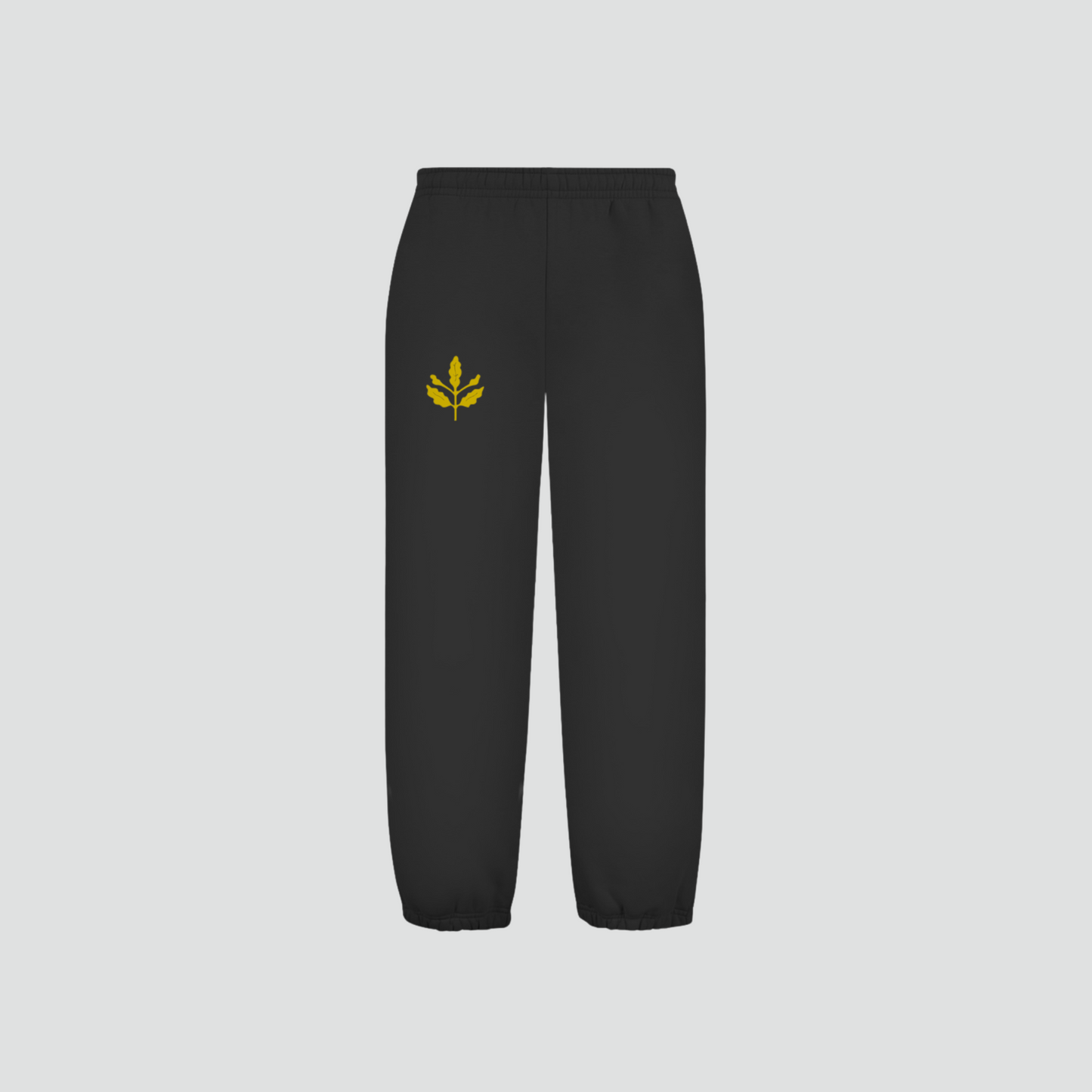 FB - Jogger