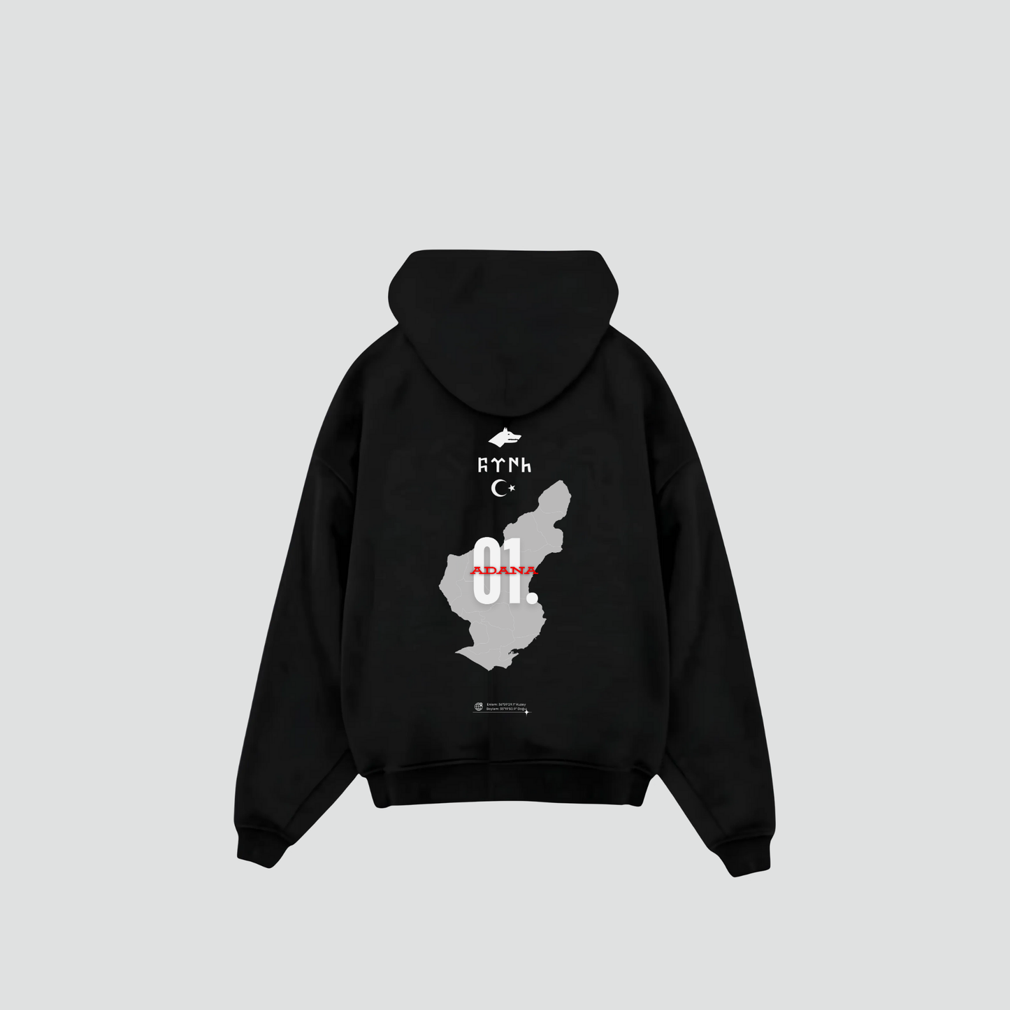 ADANA 01 - Oversized Hoodie Backprint