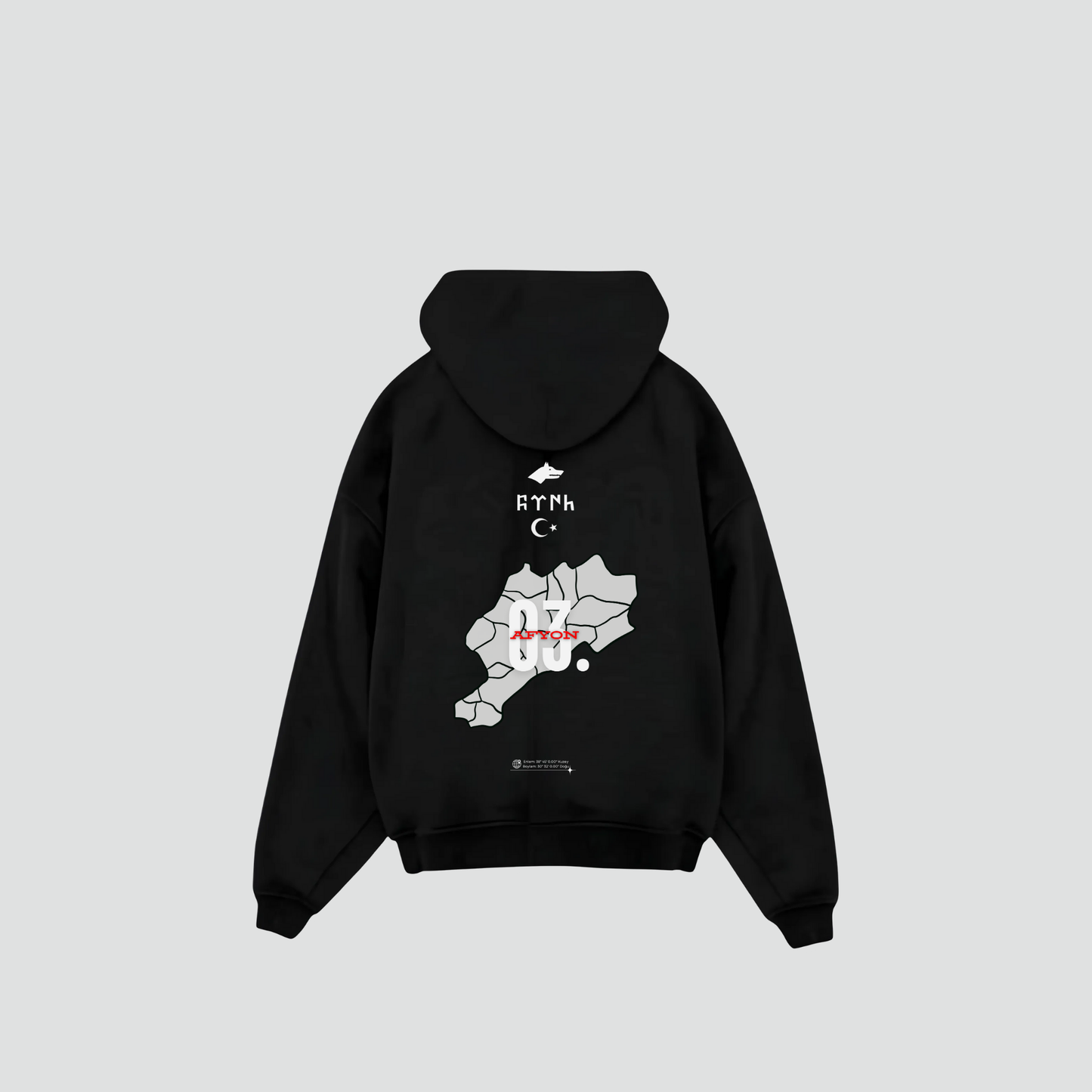 AFYON 03 - Oversized Hoodie Backprint