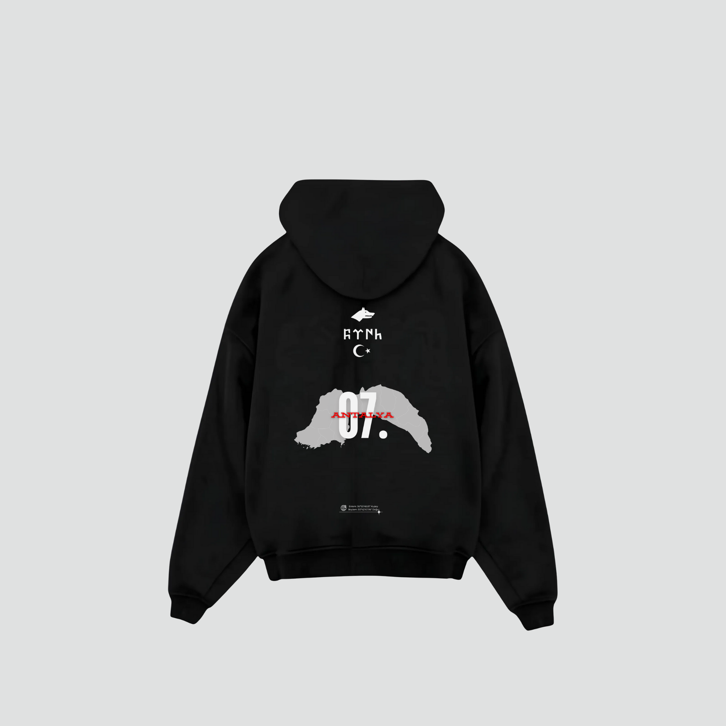 ANTALYA 07 - Oversized Hoodie Backprint