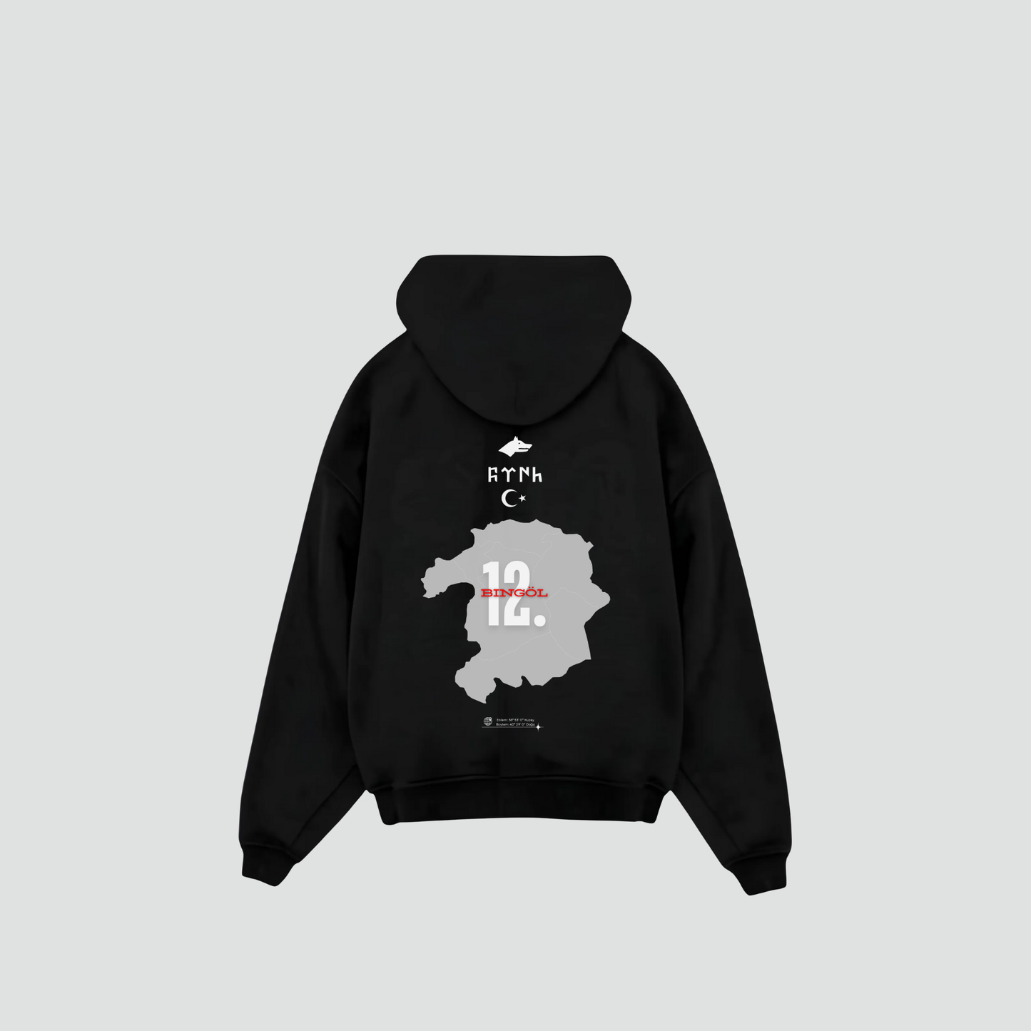 BINGÖL 12 - Oversized Hoodie Backprint