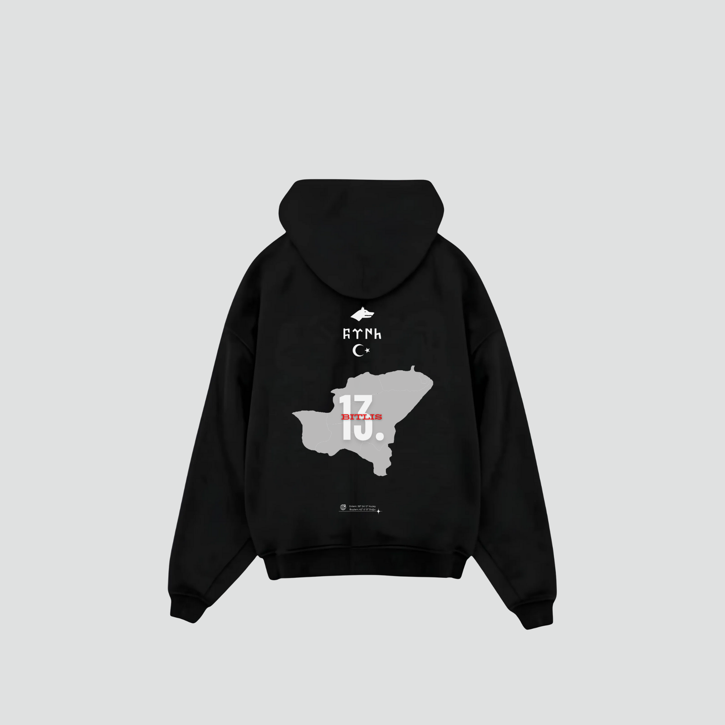 BITLIS 13 - Oversized Hoodie Backprint