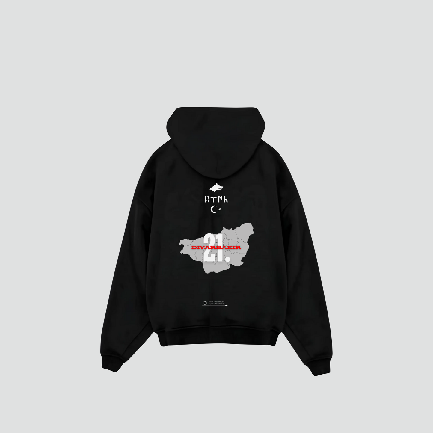 DIYARBAKIR 21 - Oversized Hoodie Backprint