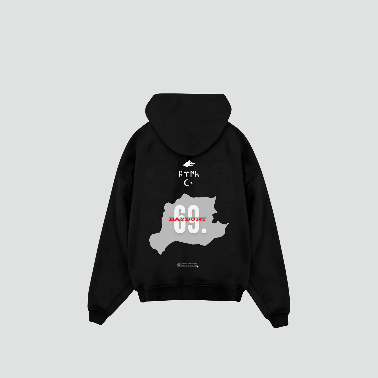 BAYBURT 69 - Oversized Hoodie Backprint
