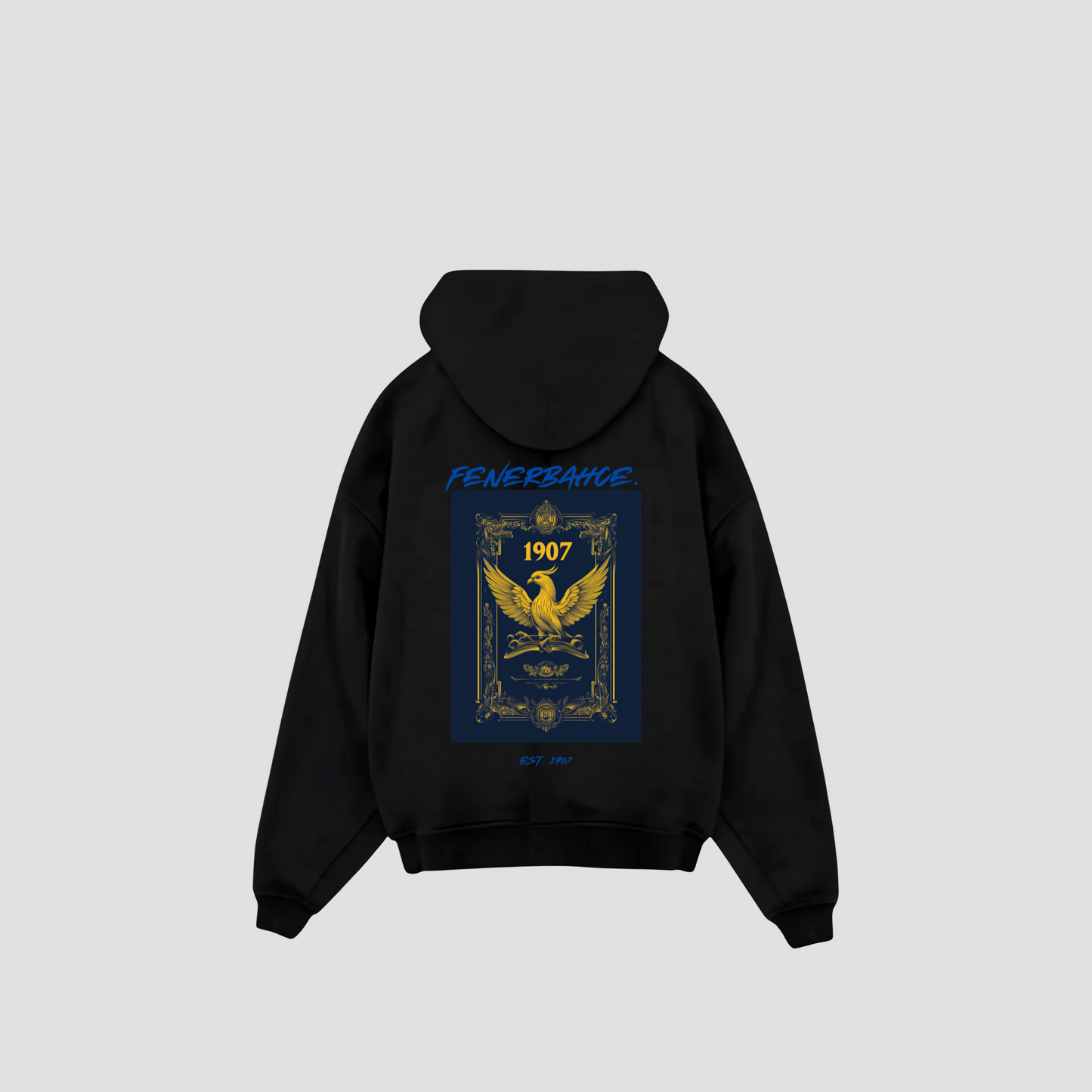FENERBAHCE - Oversized Hoodie Backprint