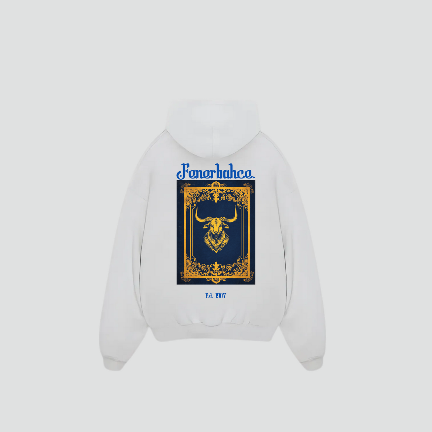 FENERBAHCE - Oversized Hoodie Backprint