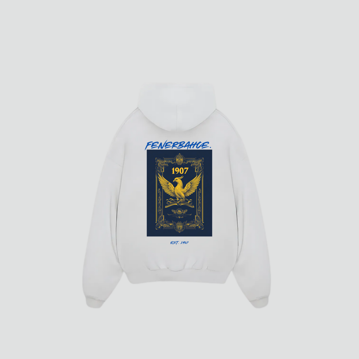 FENERBAHCE - Oversized Hoodie Backprint