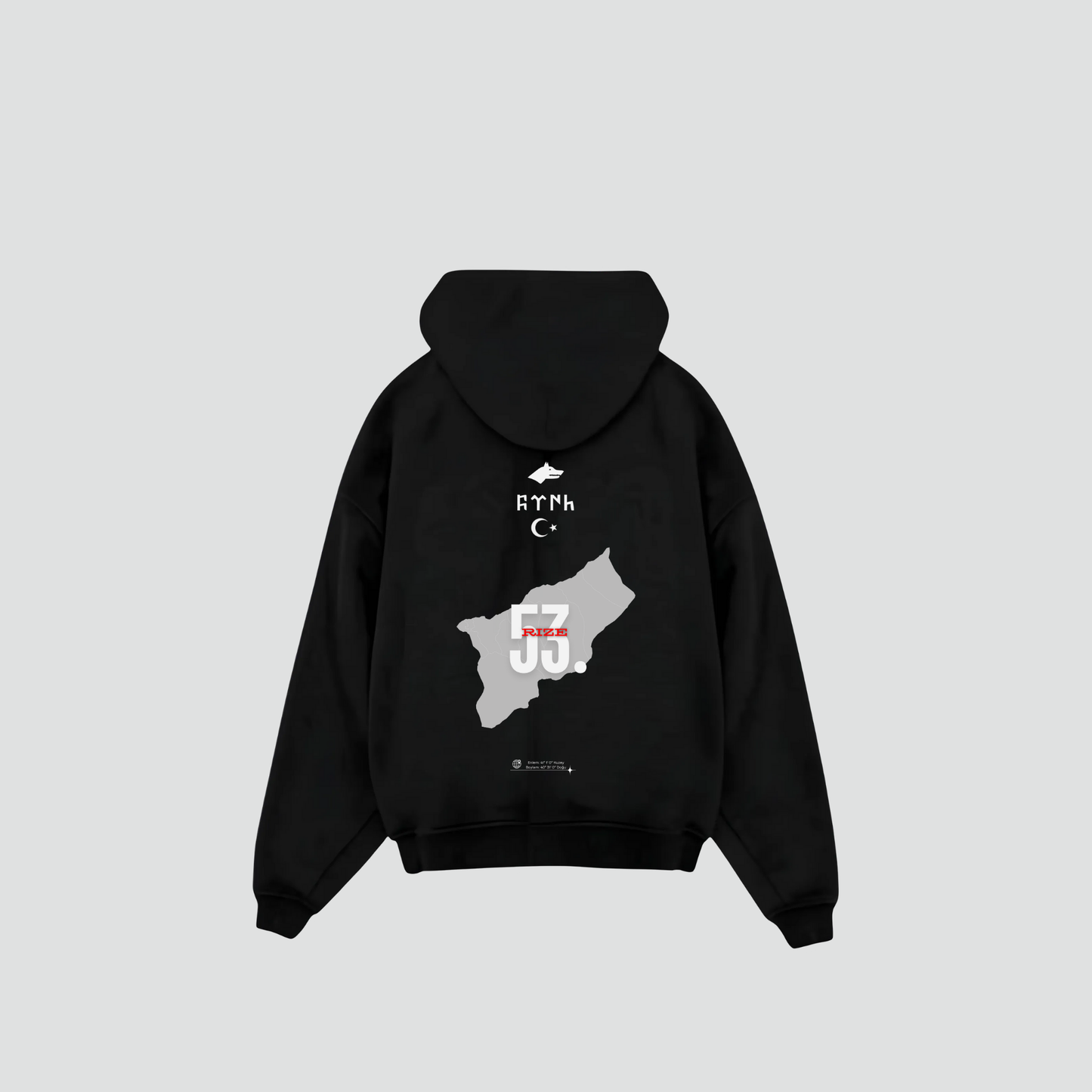 RIZE 53 - Oversized Hoodie Backprint