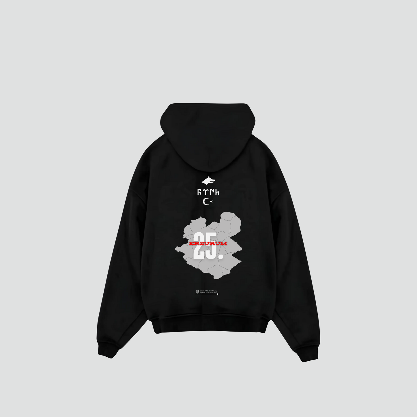 ERZURUM 25 - Oversized Hoodie Backprint