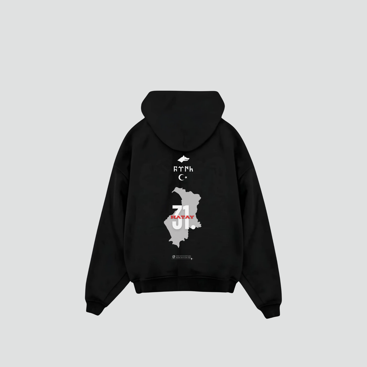 HATAY 31 - Oversized Hoodie Backprint