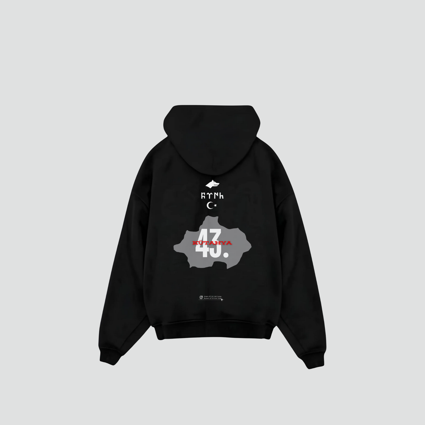 KÜTAHYA 43 - Oversized Hoodie Backprint