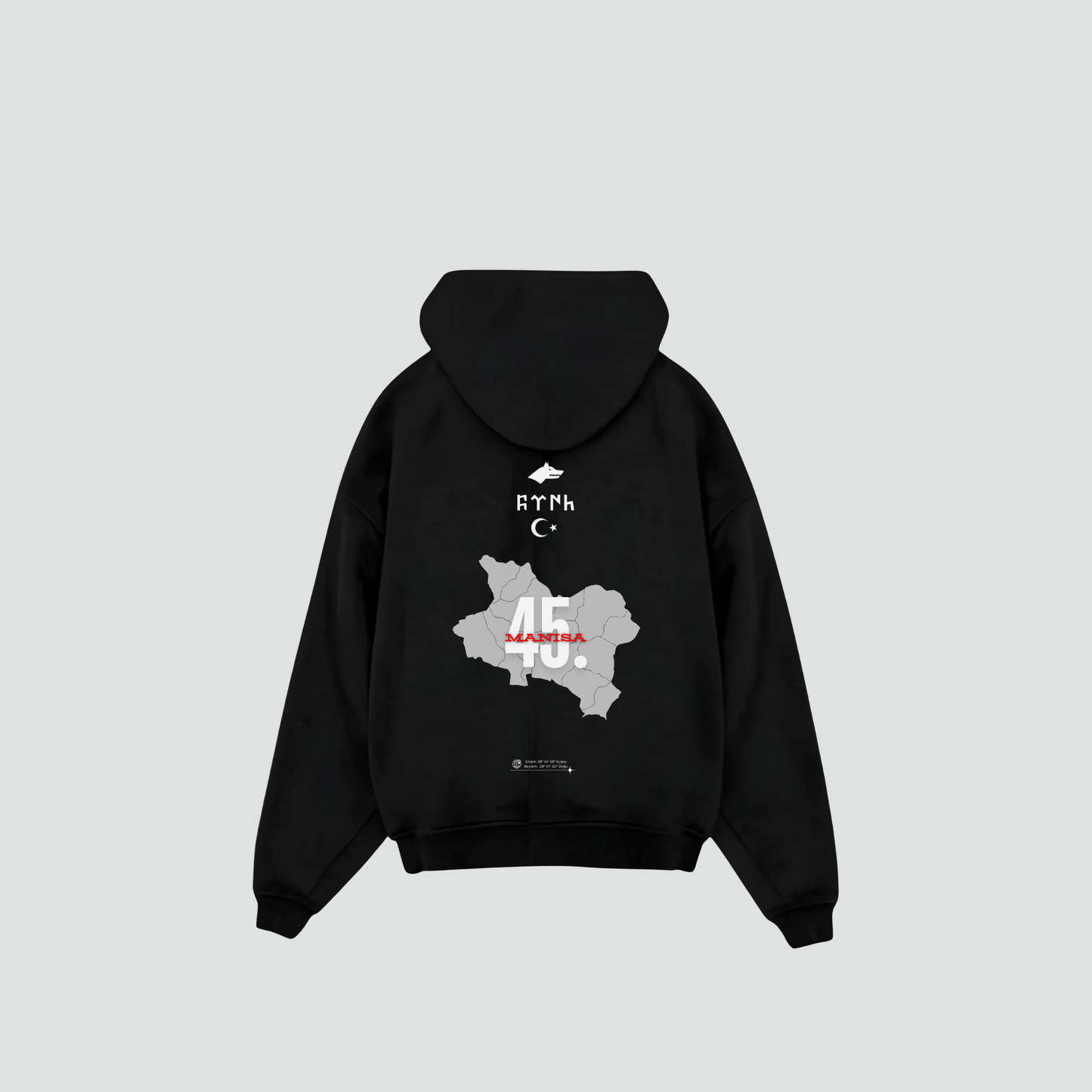 MANISA 45 - Oversized Hoodie Backprint