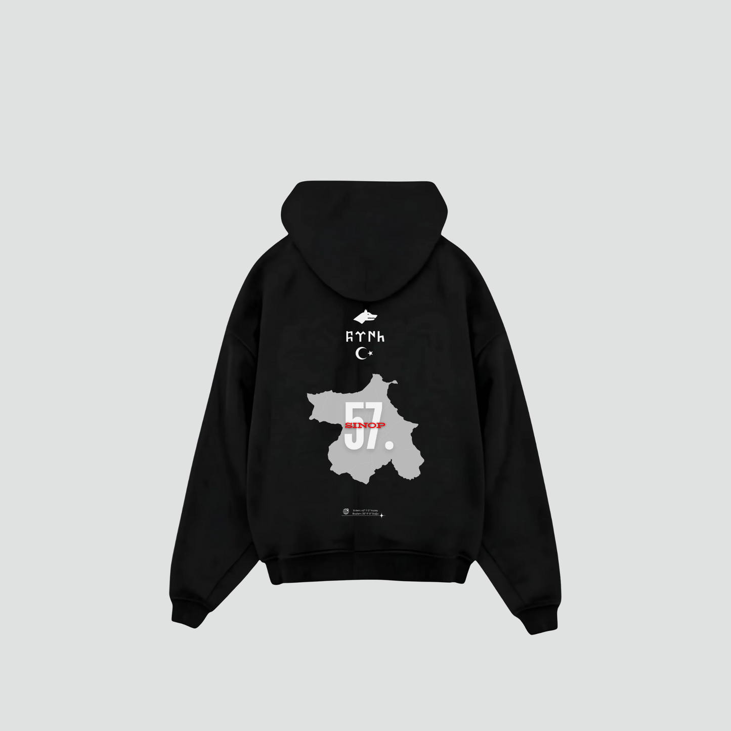 SINOP 57 - Oversized Hoodie Backprint
