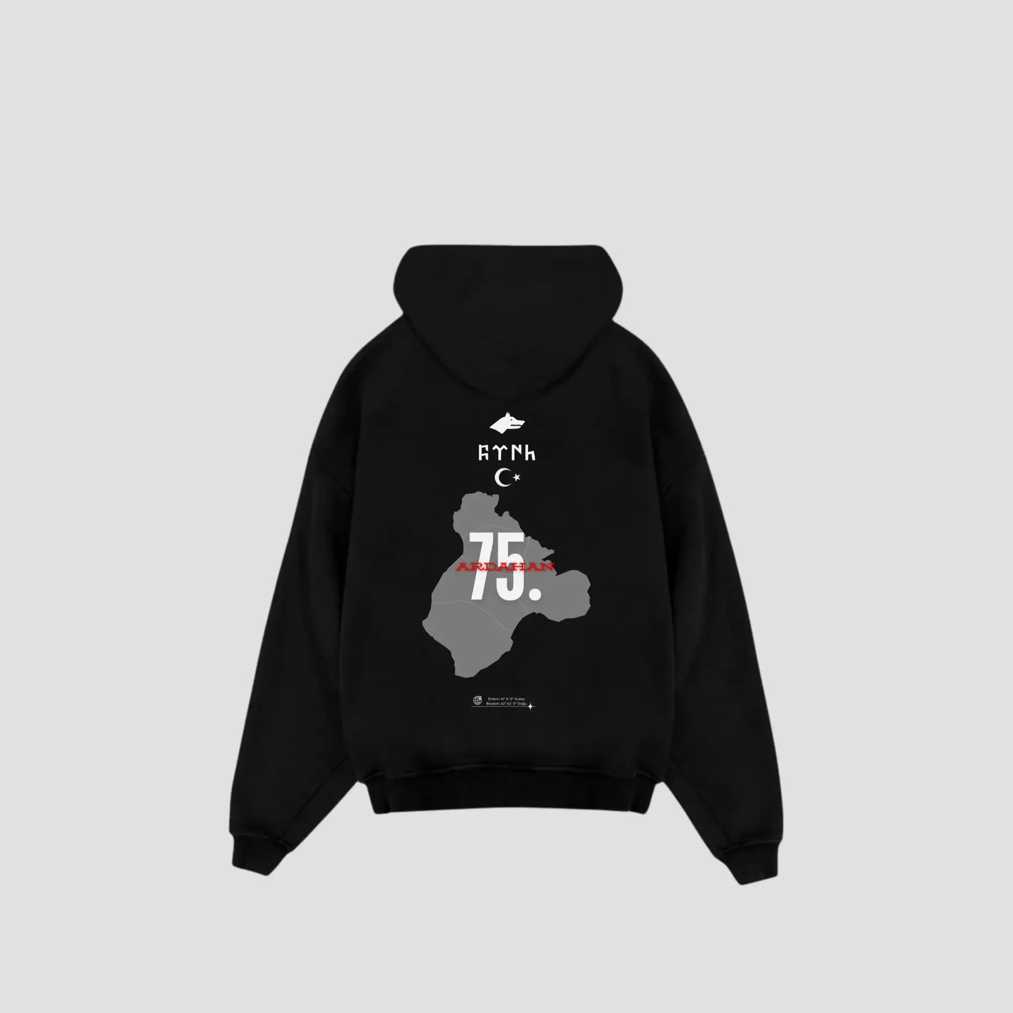 ARDAHAN 75 - Oversized Hoodie Backprint Printegy