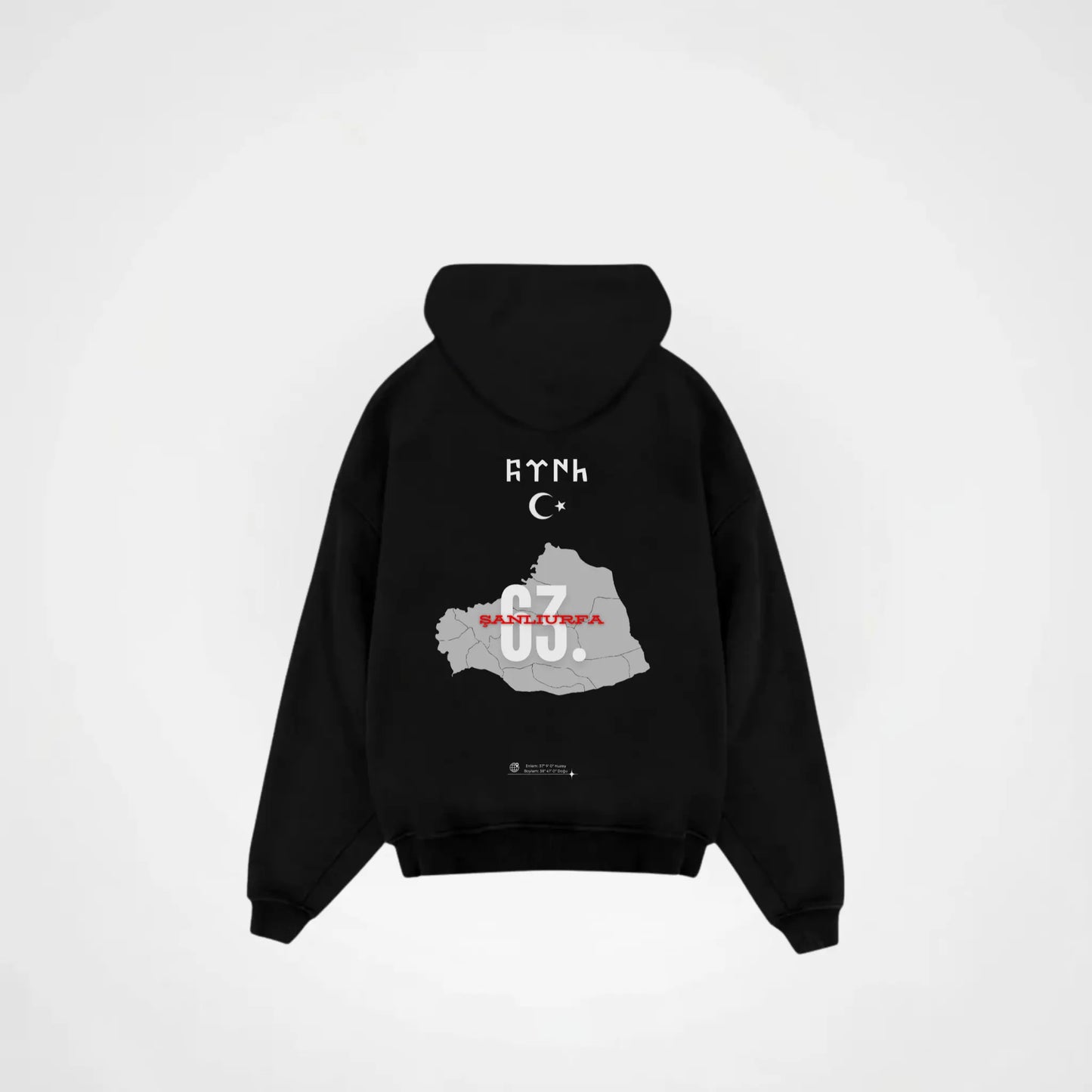 SANLIURFA 63 x 2.0 - Oversized Hoodie Backprint Printegy