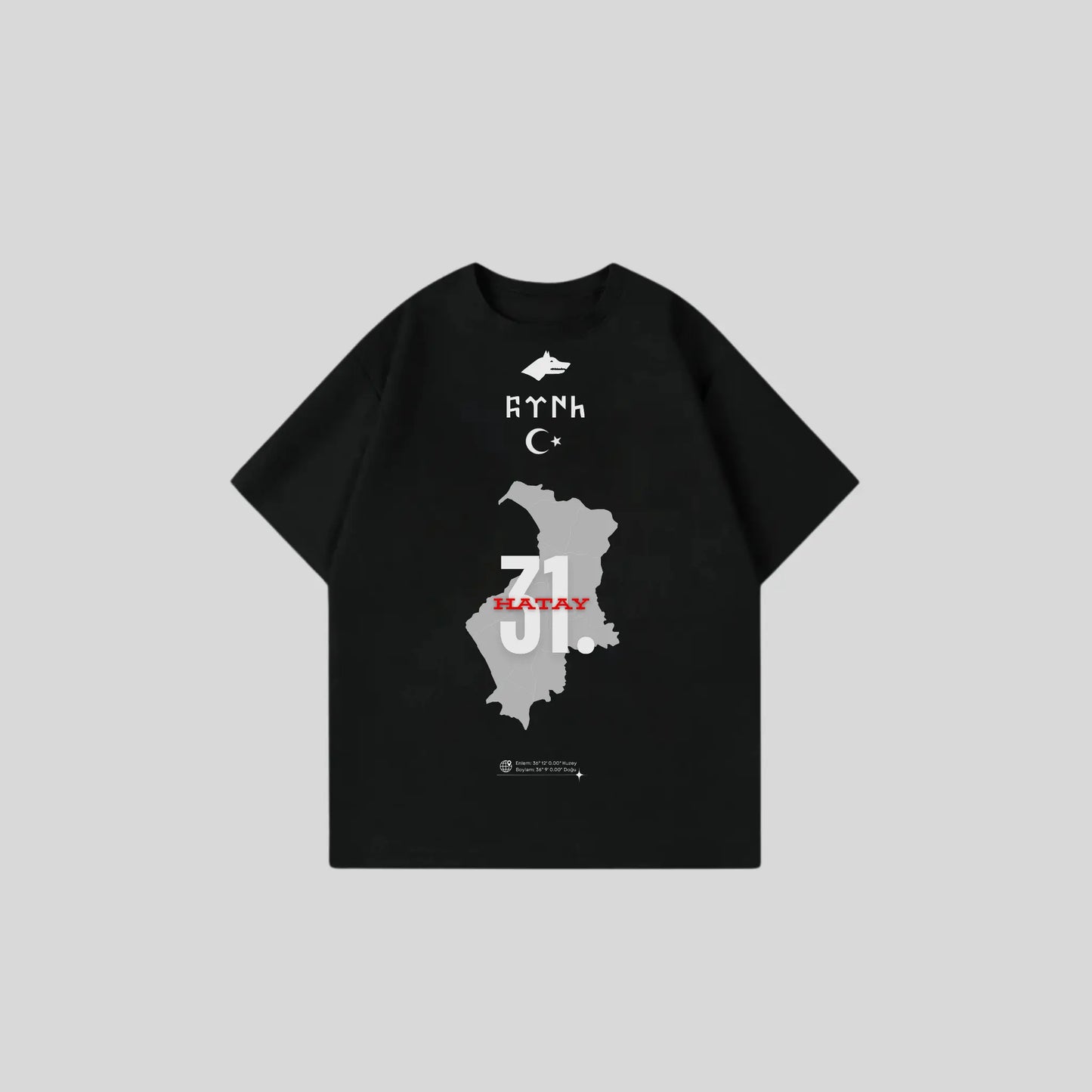 HATAY 31 - Oversize Shirt Frontprint Printegy