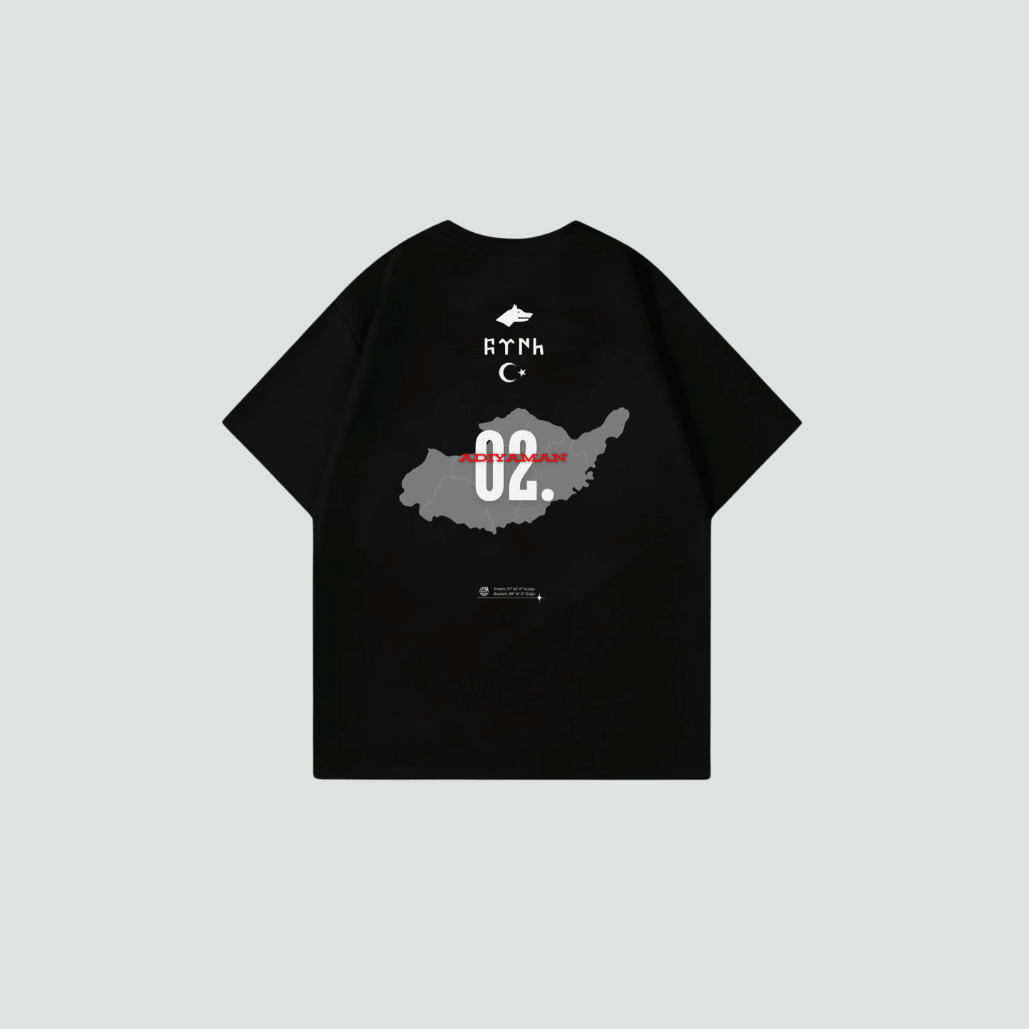 ADIYAMAN 02 - Oversize Shirt Backprint