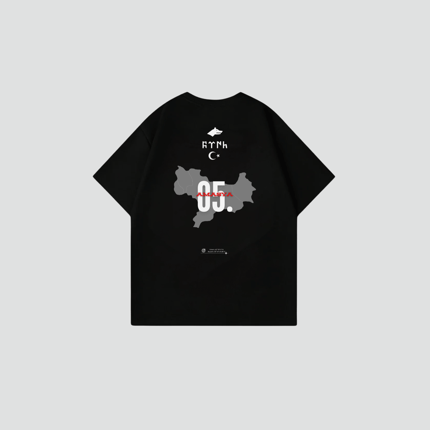 AMASYA 05 - Oversize Shirt Backprint
