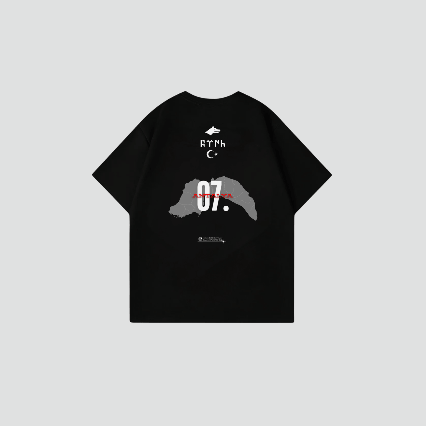 ANTALYA 07 - Oversize Shirt Backprint