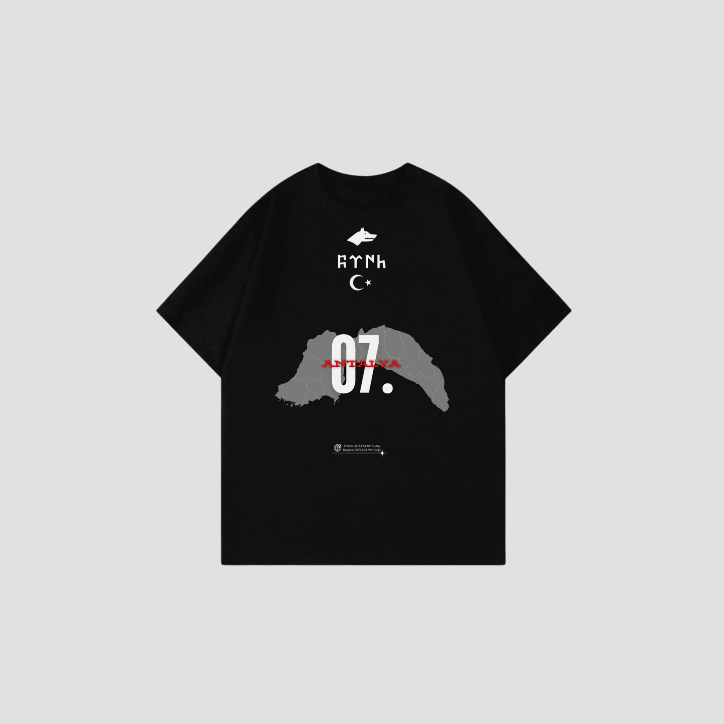 SALE ANTALYA 07 - Oversized Shirt Frontprint