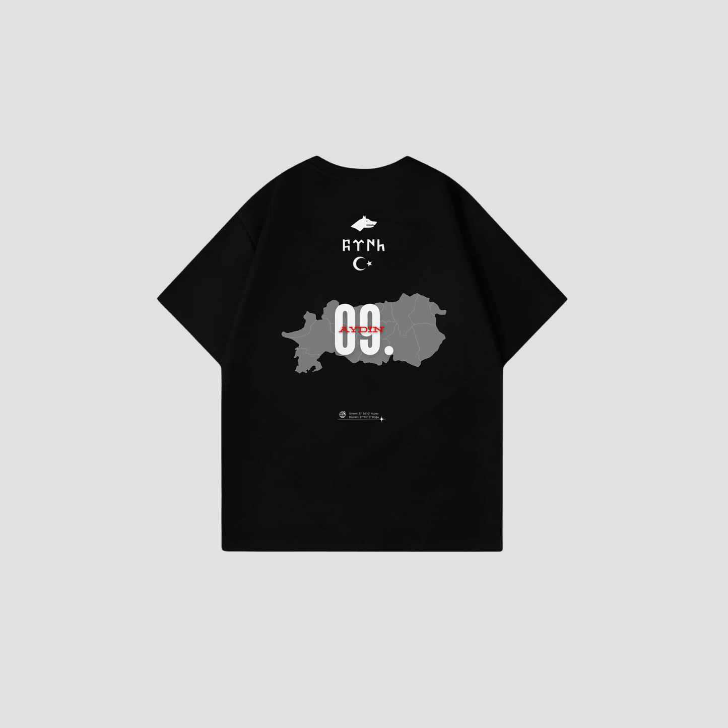 AYDIN 09 - Oversize Shirt Backprint