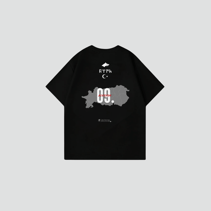 AYDIN 09 - Oversize Shirt Backprint