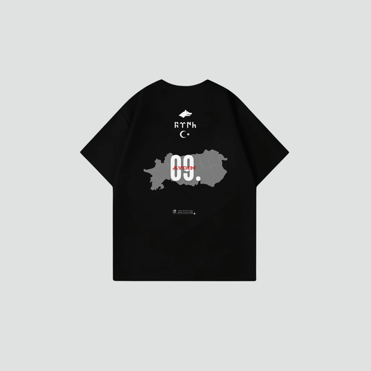 AYDIN 09 - Oversize Shirt Backprint