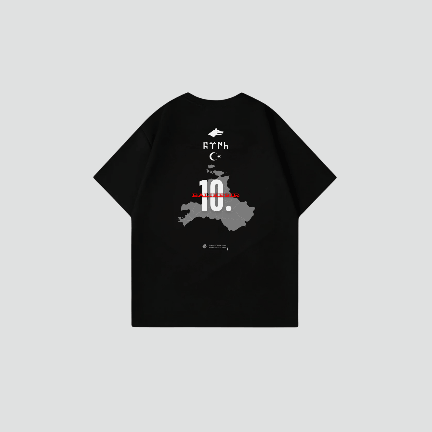 BALIKESIR 10 - Oversize Shirt Backprint