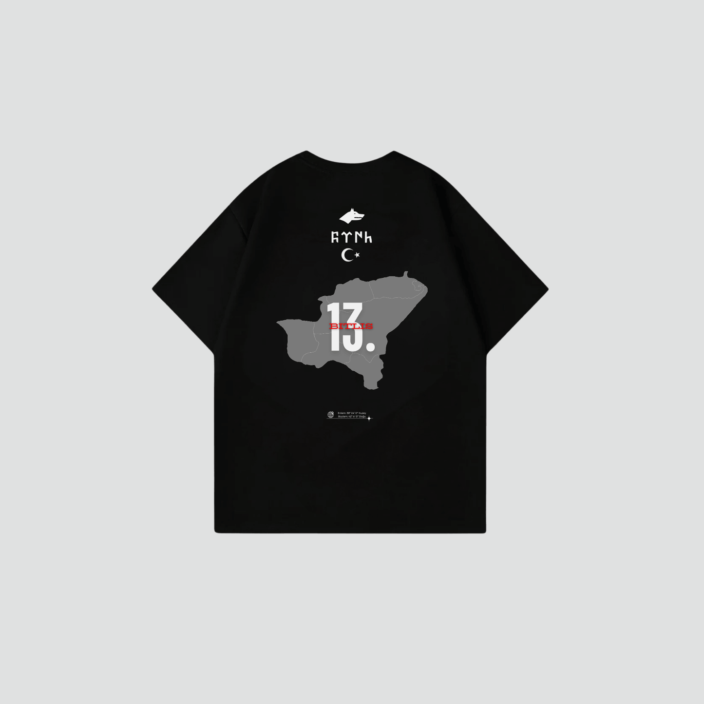 BITLIS 13 - Oversize Shirt Backprint