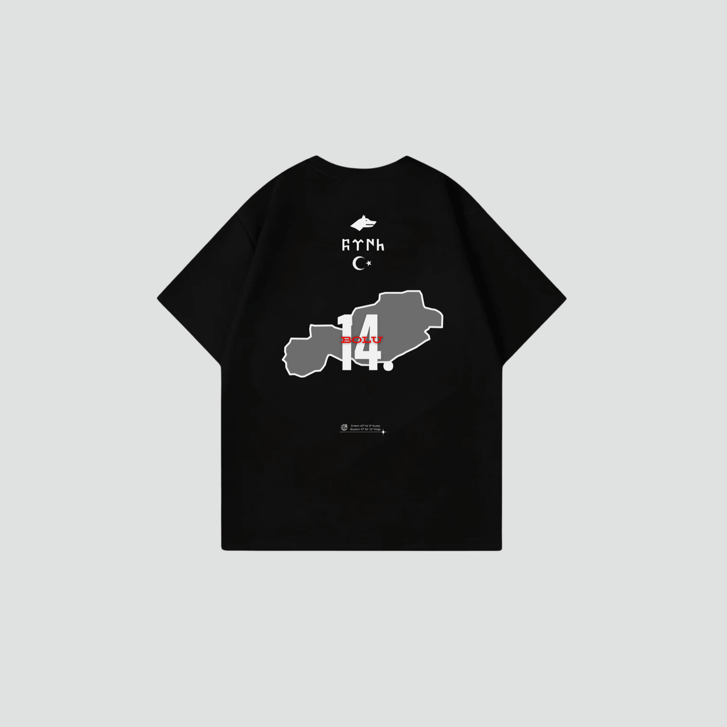 BOLU 14 - Oversize Shirt Backprint
