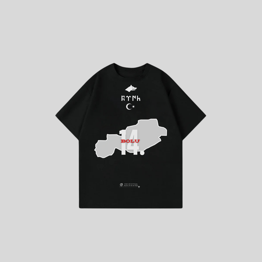 BOLU 14 - Oversize Shirt Frontprint