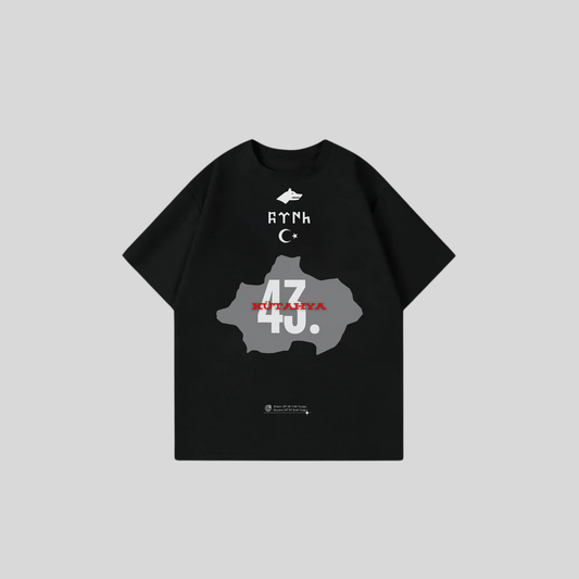 KÜTAHYA 43 - Oversize Shirt Frontprint
