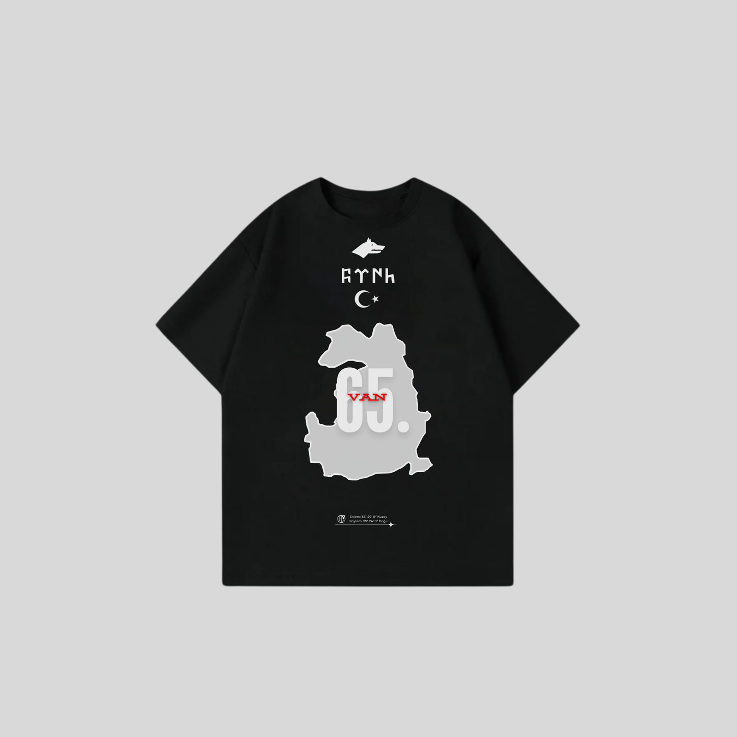 VAN 65 - Oversize Shirt Frontprint