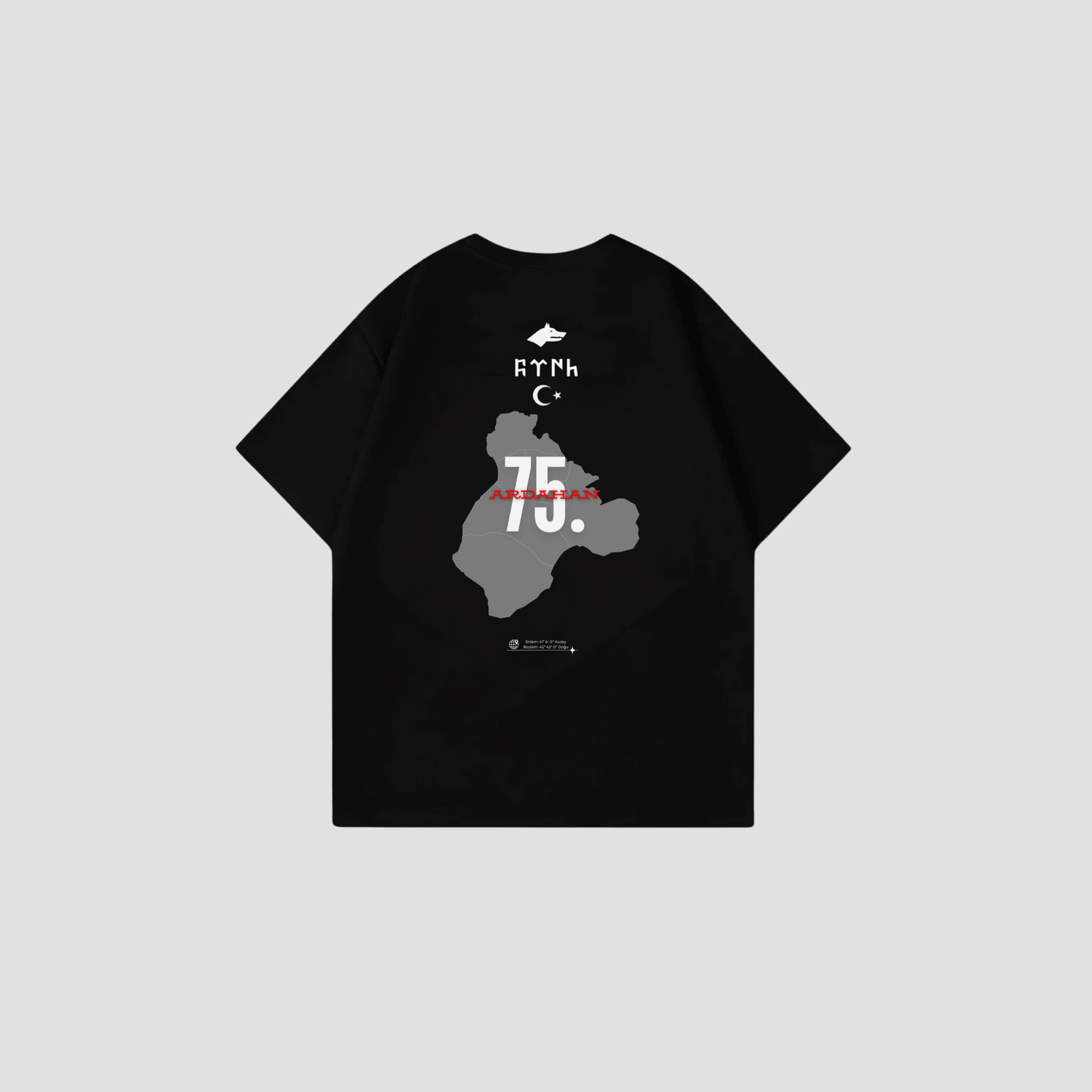 ARDAHAN 75 - Oversize Shirt Backprint
